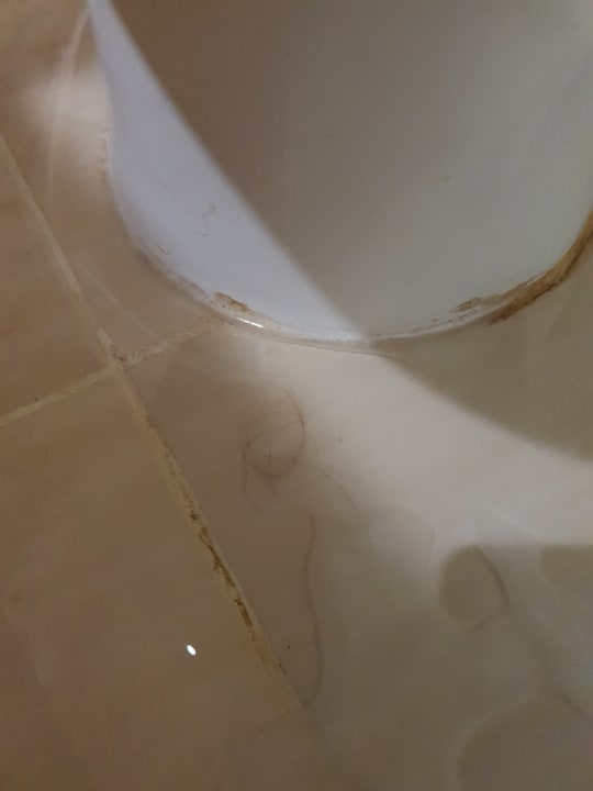 Zimmer Three Corners Sea Beach Resort