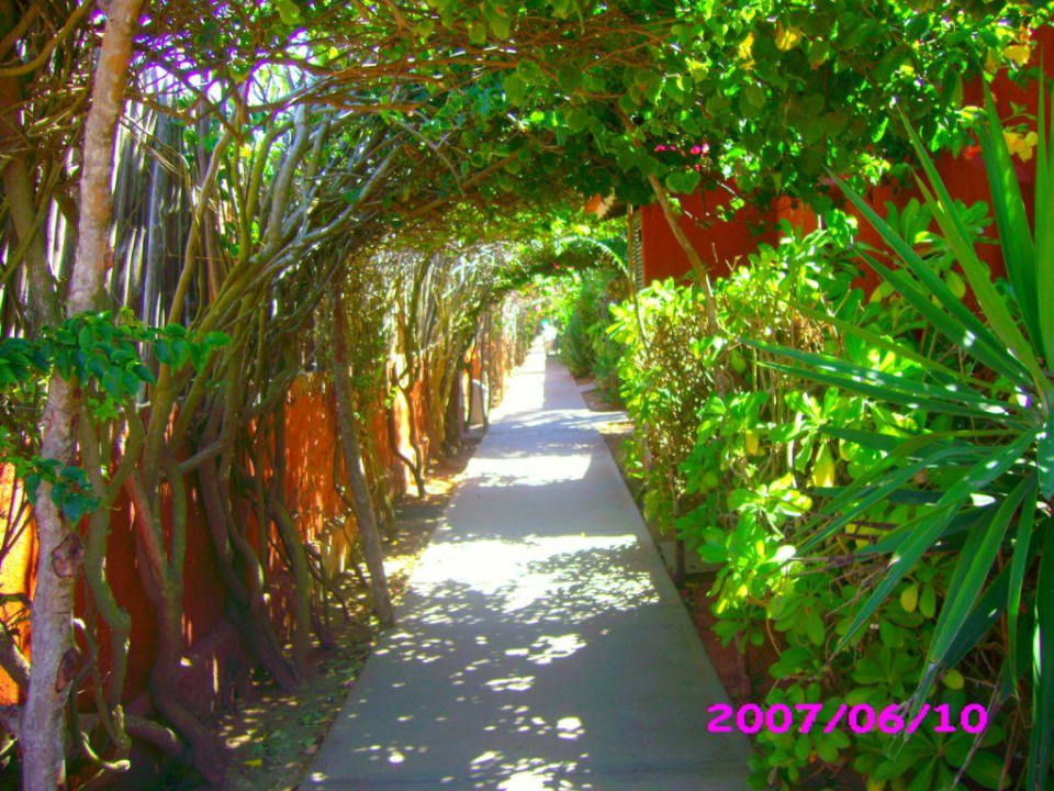Gartenbereich und Gang zu den Zimmern Hotel Flamenco Villas / Beach Club