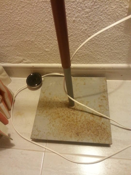 Lampenfuss SBH Hotel Taro Beach