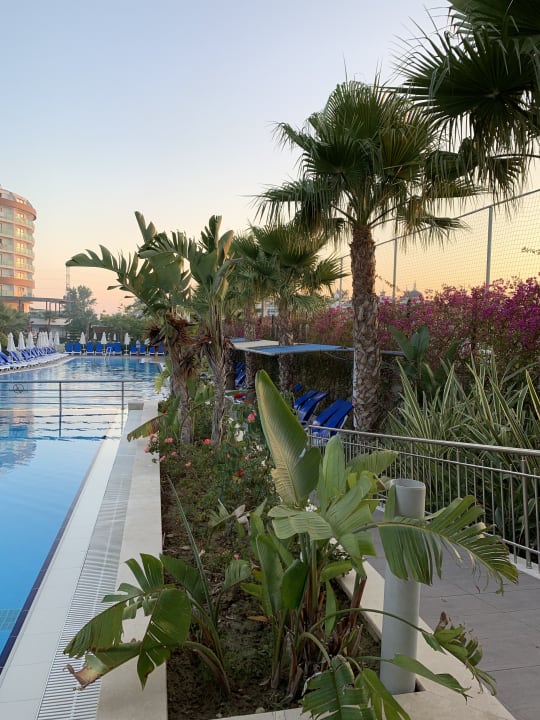 Pool Dream World Aqua Hotel