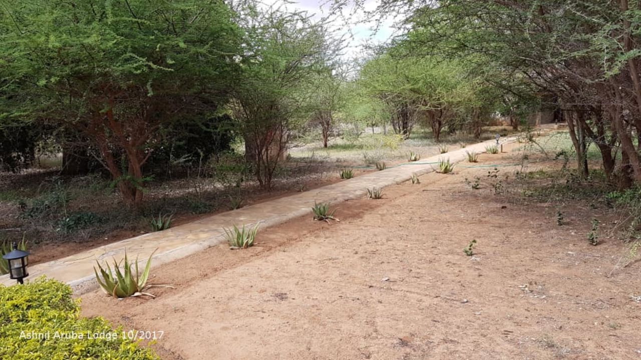 Ashnil Aruba Lodge 10/2017 Ashnil Aruba Lodge
