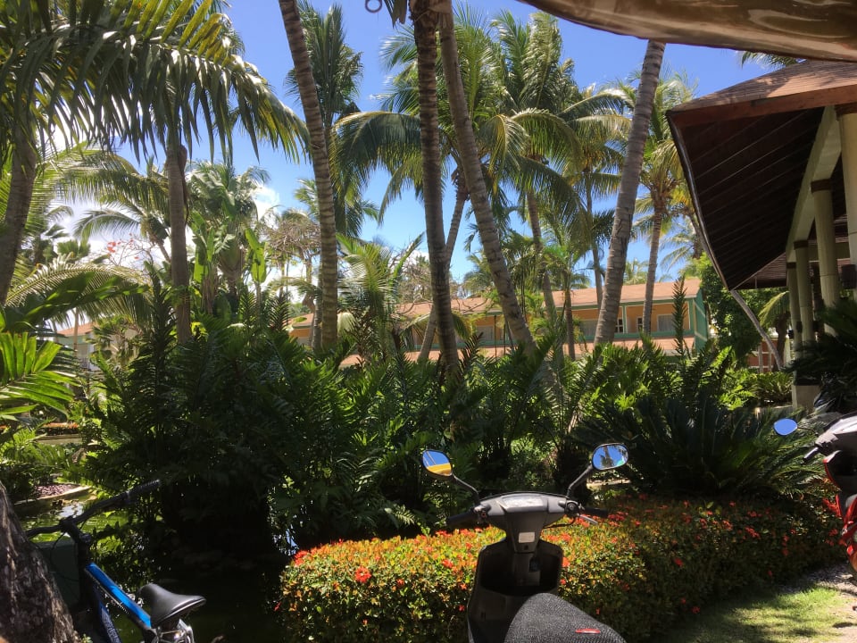 Außenansicht Hotel Grand Palladium Palace Resort, Spa & Casino