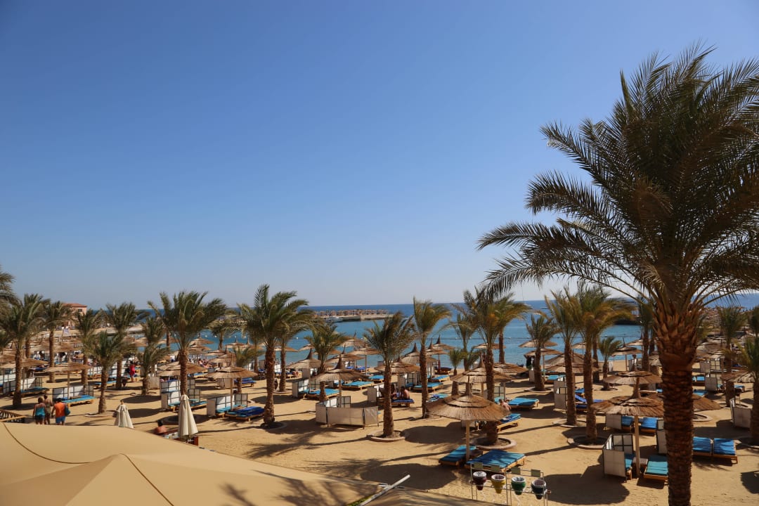 Strand vom Beach Albatros Resort Beach Albatros Resort