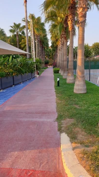 Gartenanlage Hotel Miramare Beach