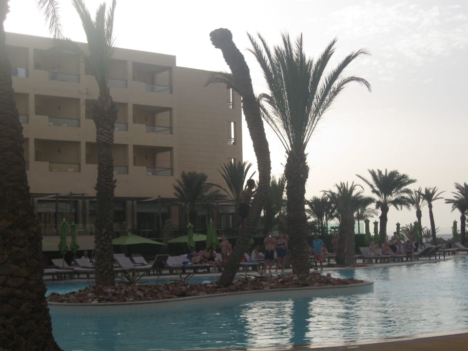 Аниматор Кико на пальме Hotel Rosa Beach