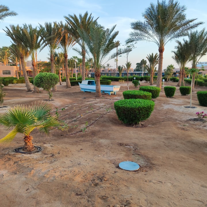 Gartenanlage Club Paradisio El Gouna, Red Sea