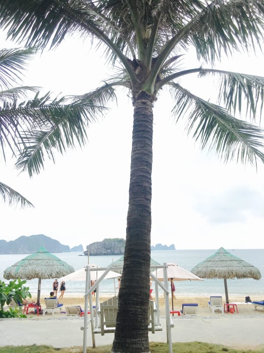 Widok z pokoju najlepszy! Flamingo Cat Ba Resort