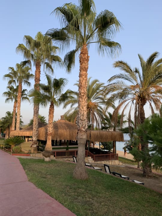 Gartenanlage Oz Hotels Incekum Beach