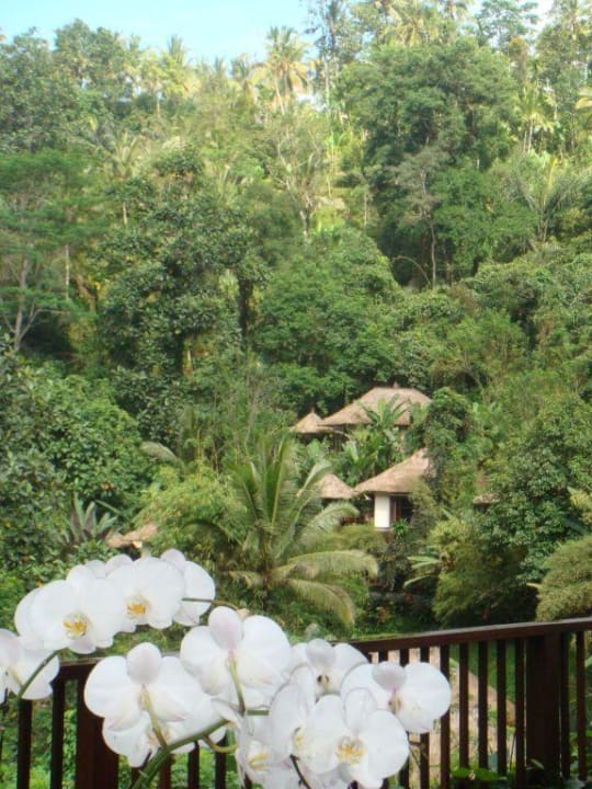 Teeterrassenblick Hotel Hanging Gardens of Bali