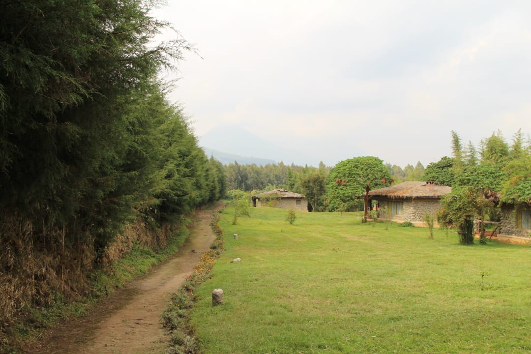 Gartenanlage Gorilla Montain View Lodge