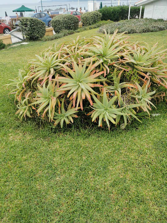 Gartenanlage Possidi Holidays Resort & Suite Hotel