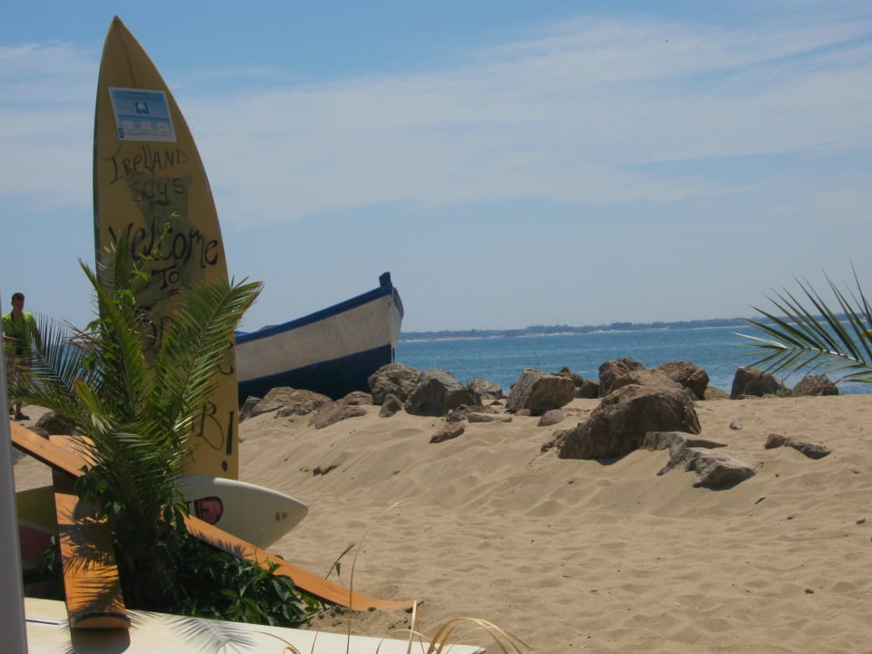 Strandidylle DAS Club Hotel Sunny Beach