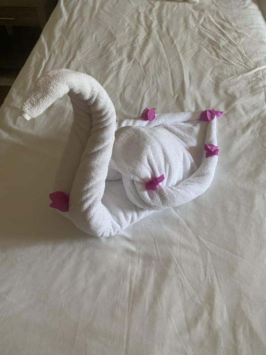 Zimmer Iberostar Waves Mehari Djerba