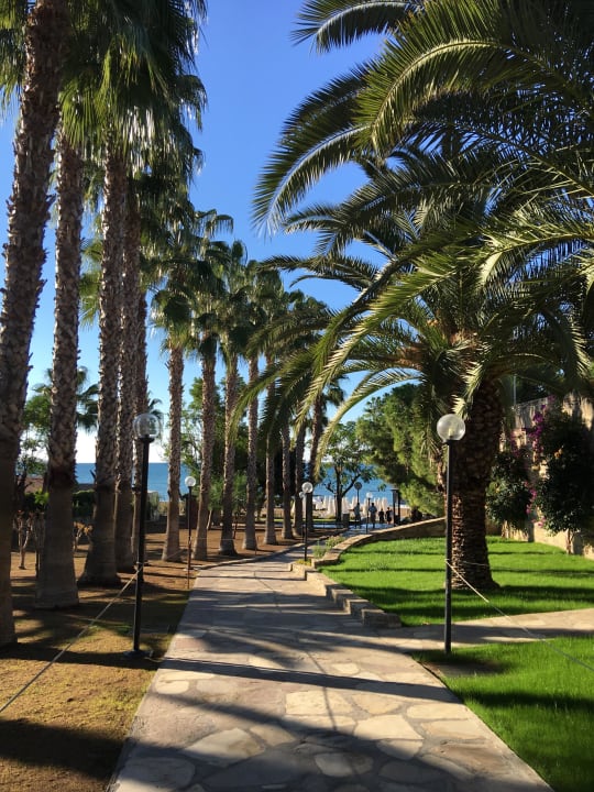 Weg Arum Barut Collection