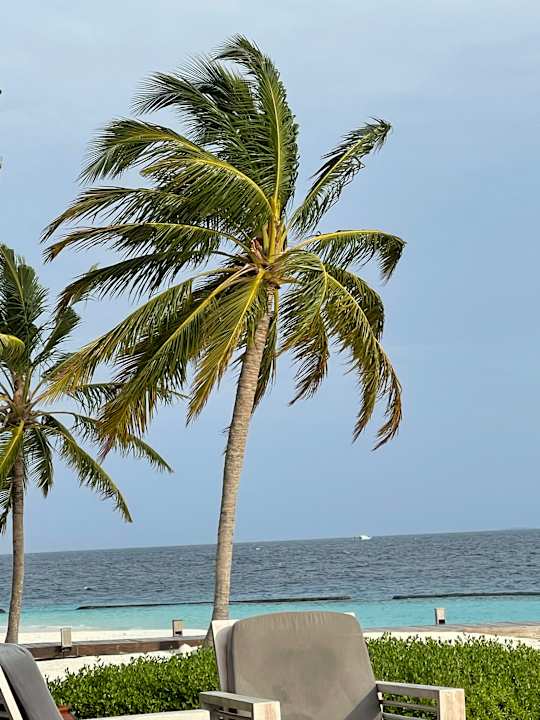 Pool Coco Bodu Hithi