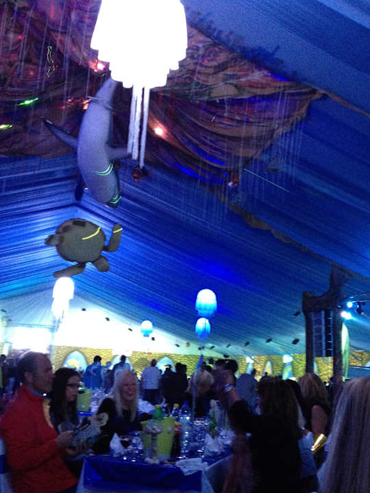 Echt toll gemacht an Silvester Pickalbatros Alf Leila Wa Leila Resort - Neverland Hurghada