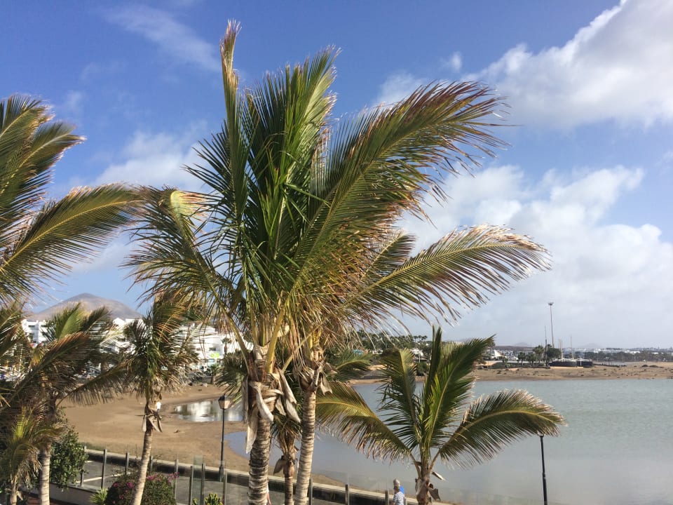 Strand Hotel Las Costas