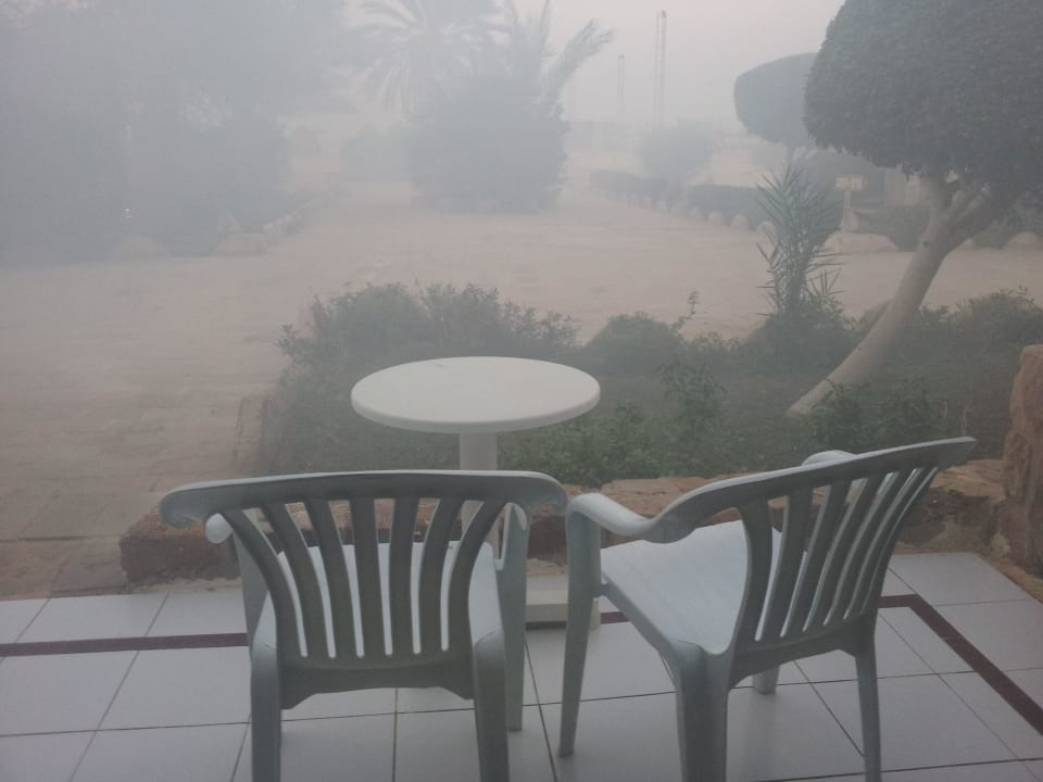 Gift oder Mücken oder beides Utopia Beach Club