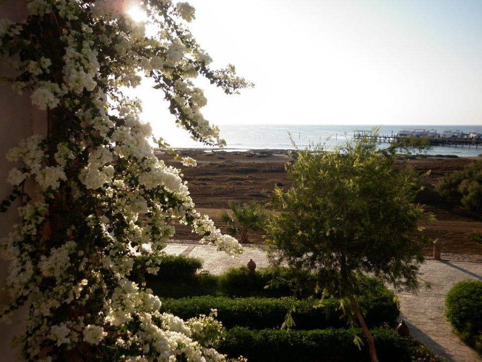 Blick vom Balkon Shams Alam Beach Resort