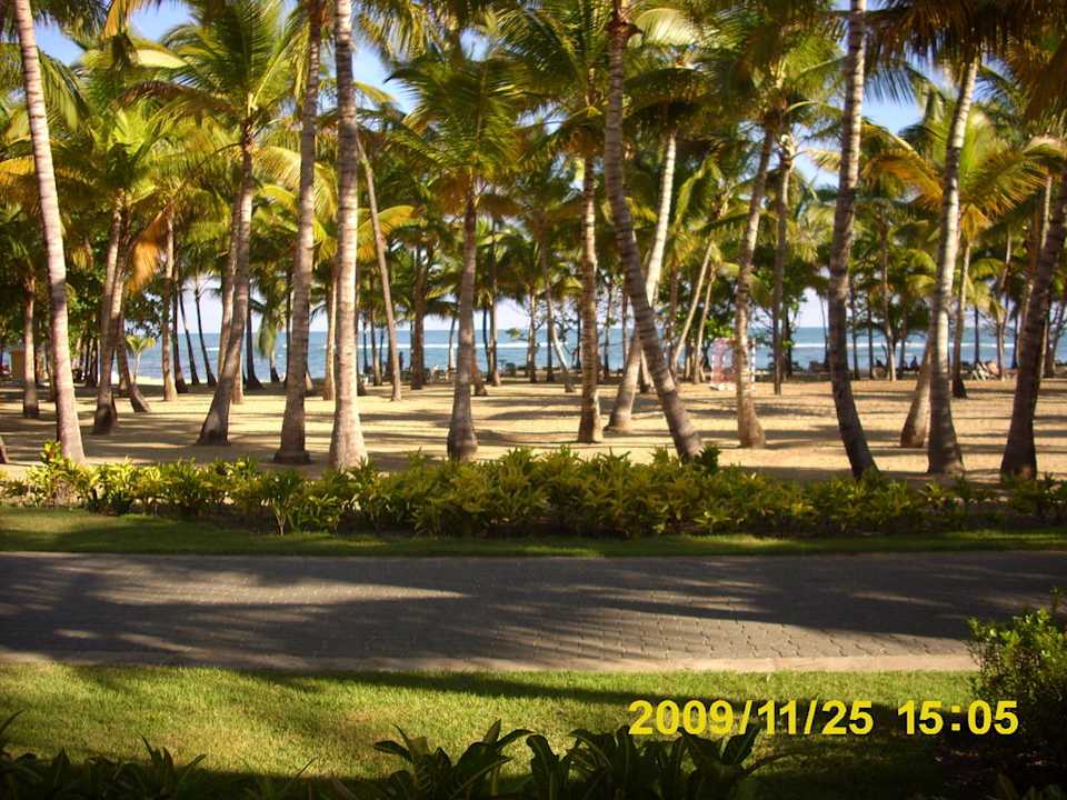 Ausblick Hauptrestaurant Rio Mambo Playabachata Hotel
