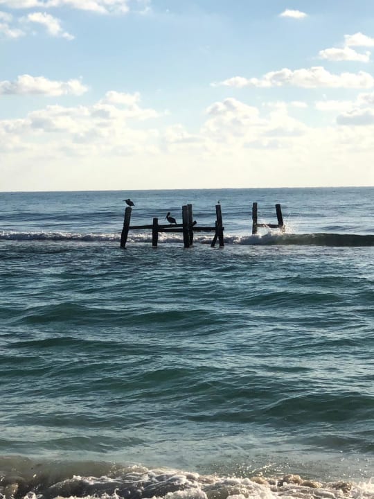 Strand Iberostar Waves Paraiso del Mar