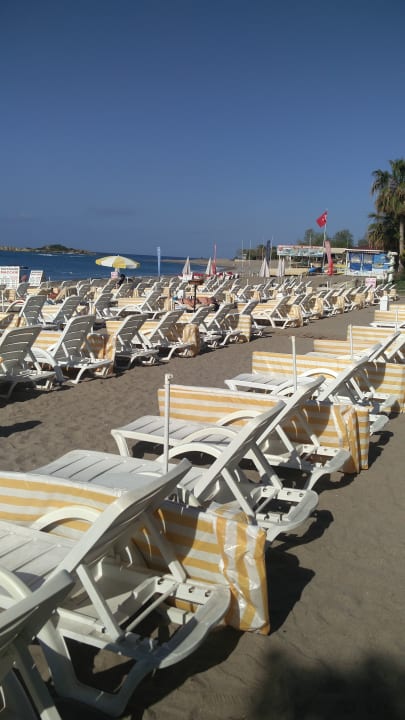 Strand Hotel Gardenia Beach