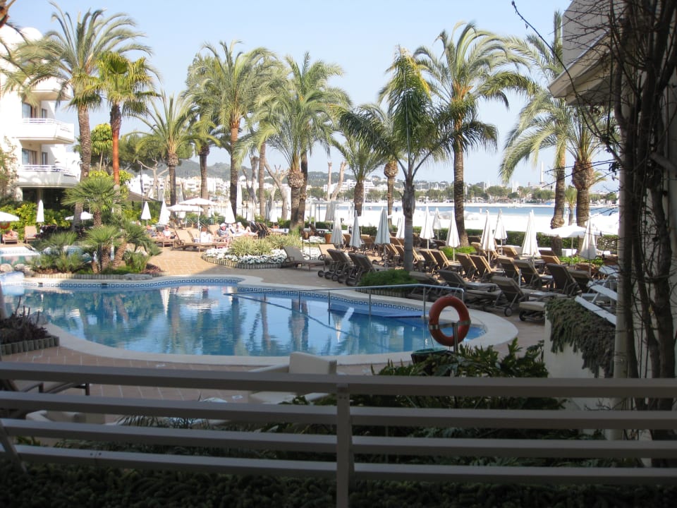 Pool am Nachmittag VIVA Golf - Adults only 18+