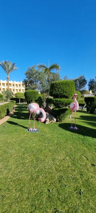 Gartenanlage Hotel JAZ Makadi Star & Spa