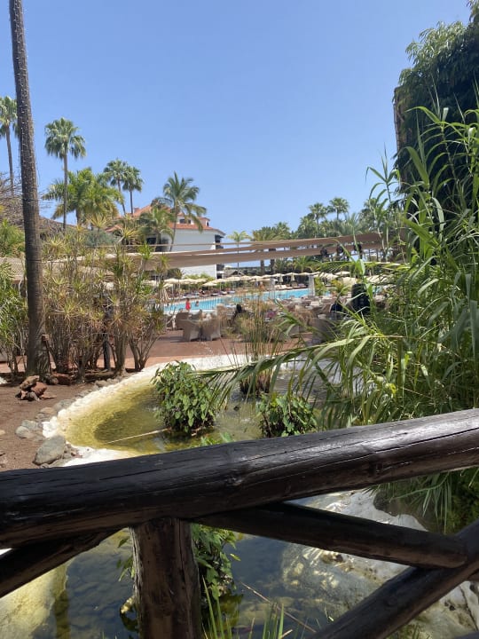 Gartenanlage Hotel Parque Tropical