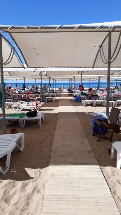 Strand Side Royal Paradise Hotel