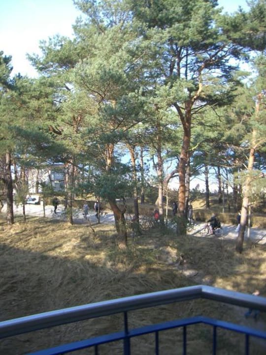 Ausblick aus Zimmer 3318 IFA Rügen Hotel & Ferienpark