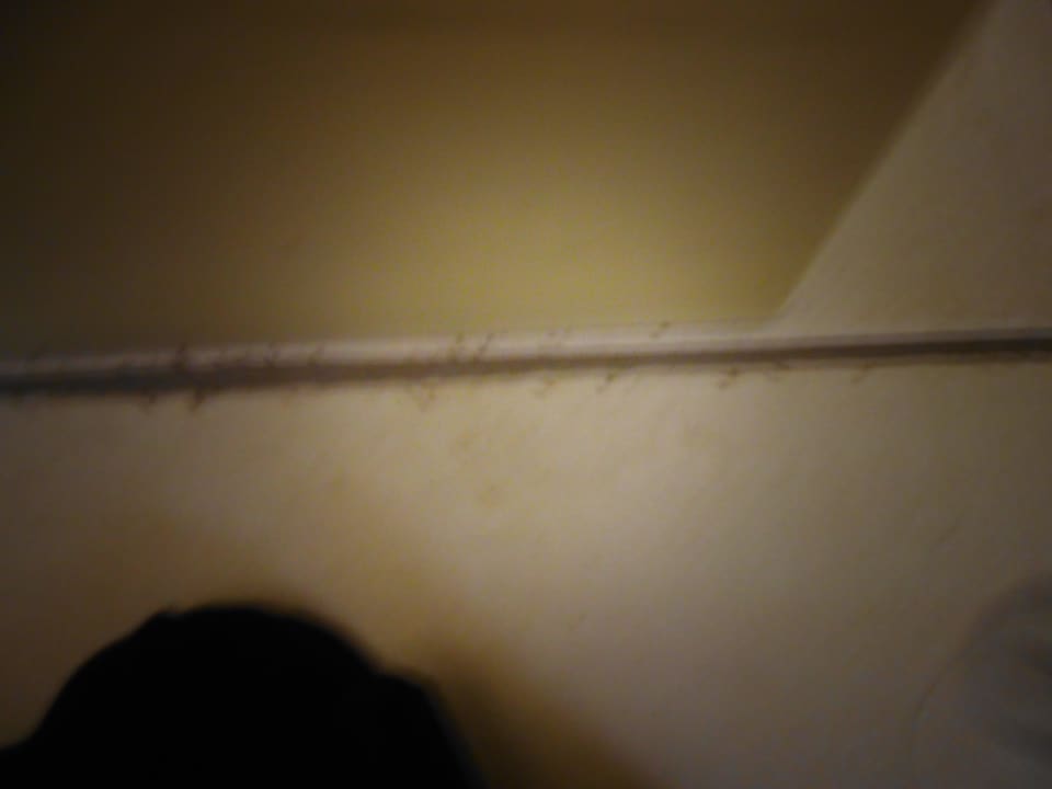 Tote ameisen Hotel Süral Resort