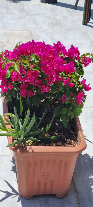 Strand Side Village Hotel