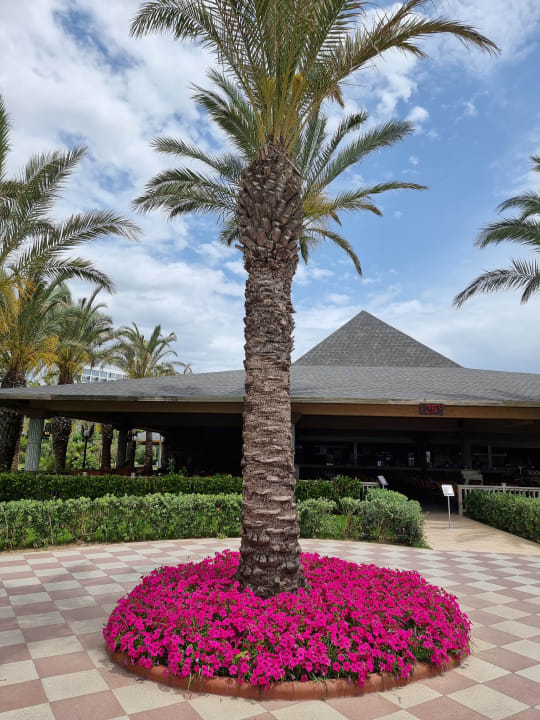 Gartenanlage Royal Wings Hotel