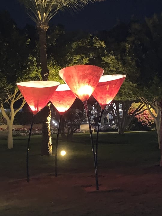 Gartenanlage Desert Rose