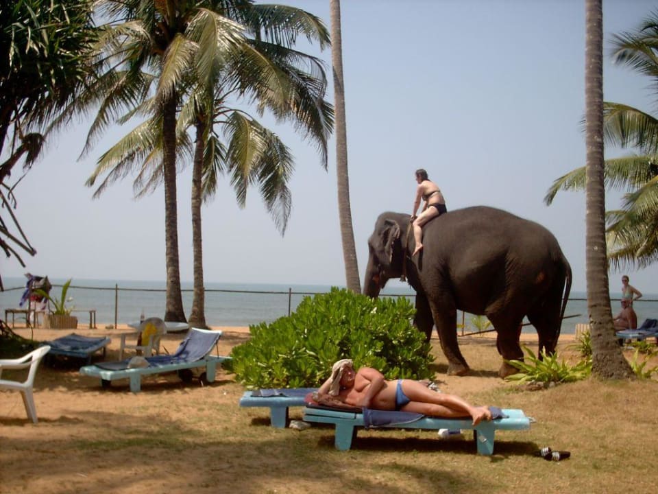 Urlaub 06 Villa Ocean View Resort