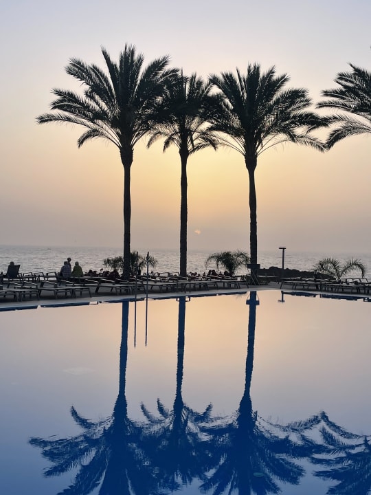 Ausblick Hotel Riu Buenavista