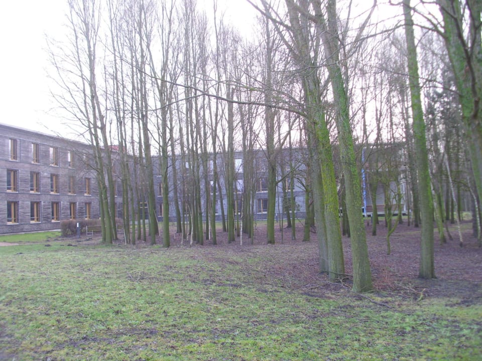 Das Hotel von der Vorderseite Ostseehotel Dierhagen