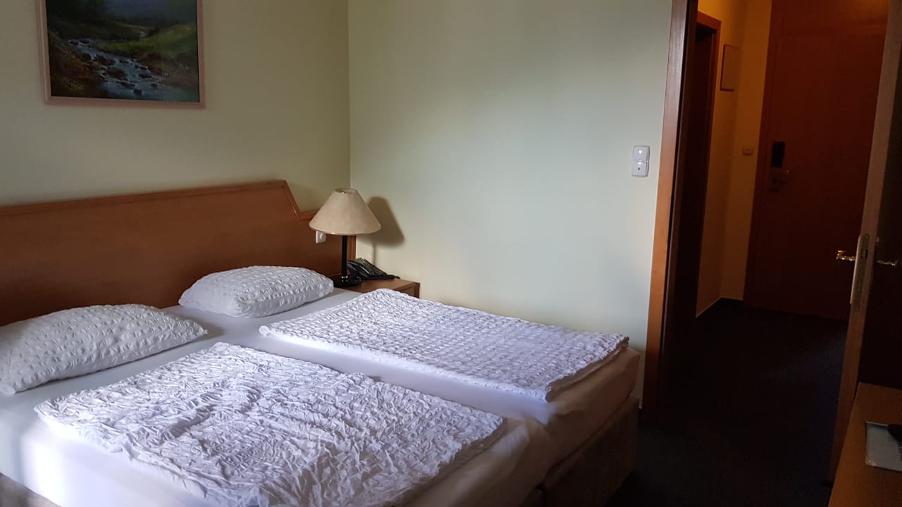 Zimmer Hotel Alpina