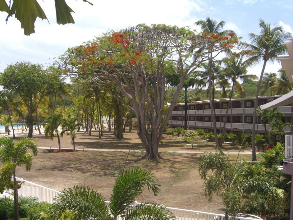 Umfeld Club Med La Caravelle