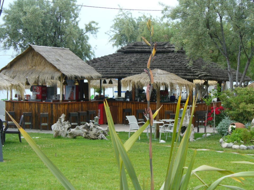 Strandbar alltoura Club Hotel Poseidon Palace