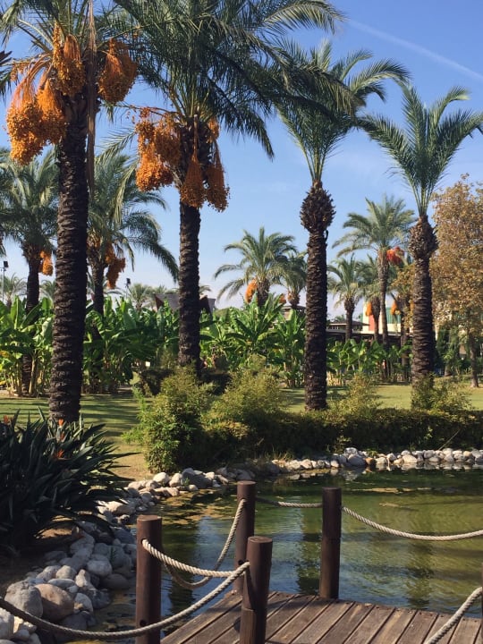 Garten IC Hotels Green Palace