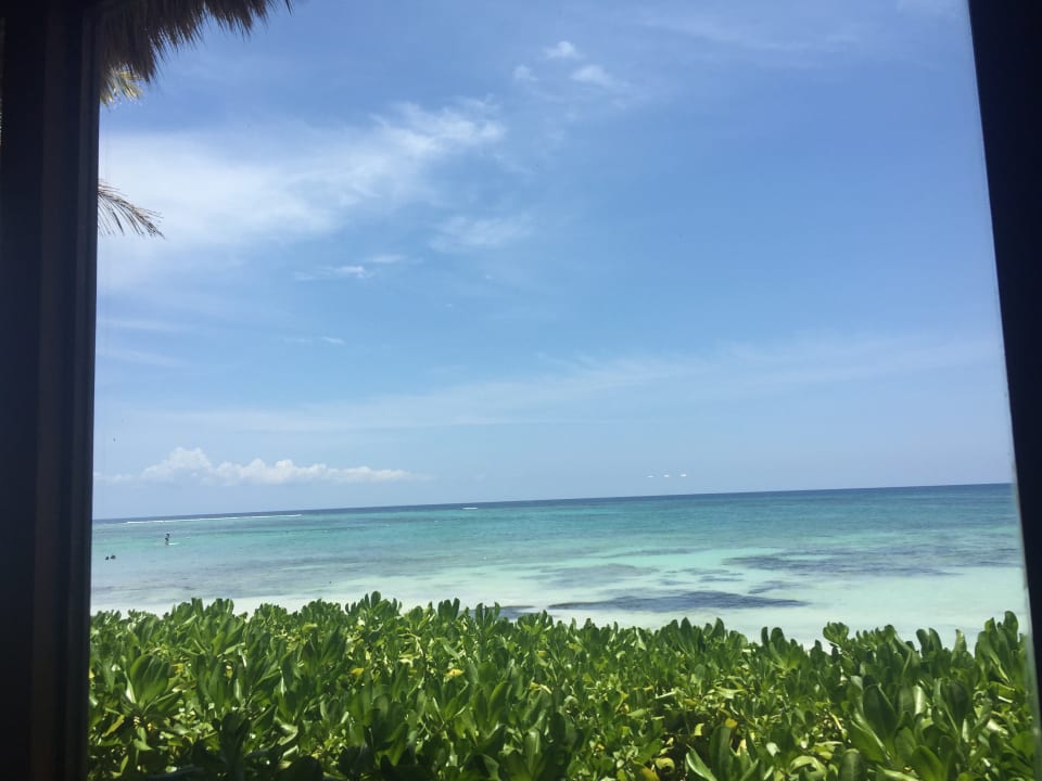 Gastro Akumal Bay Beach & Wellness Resort