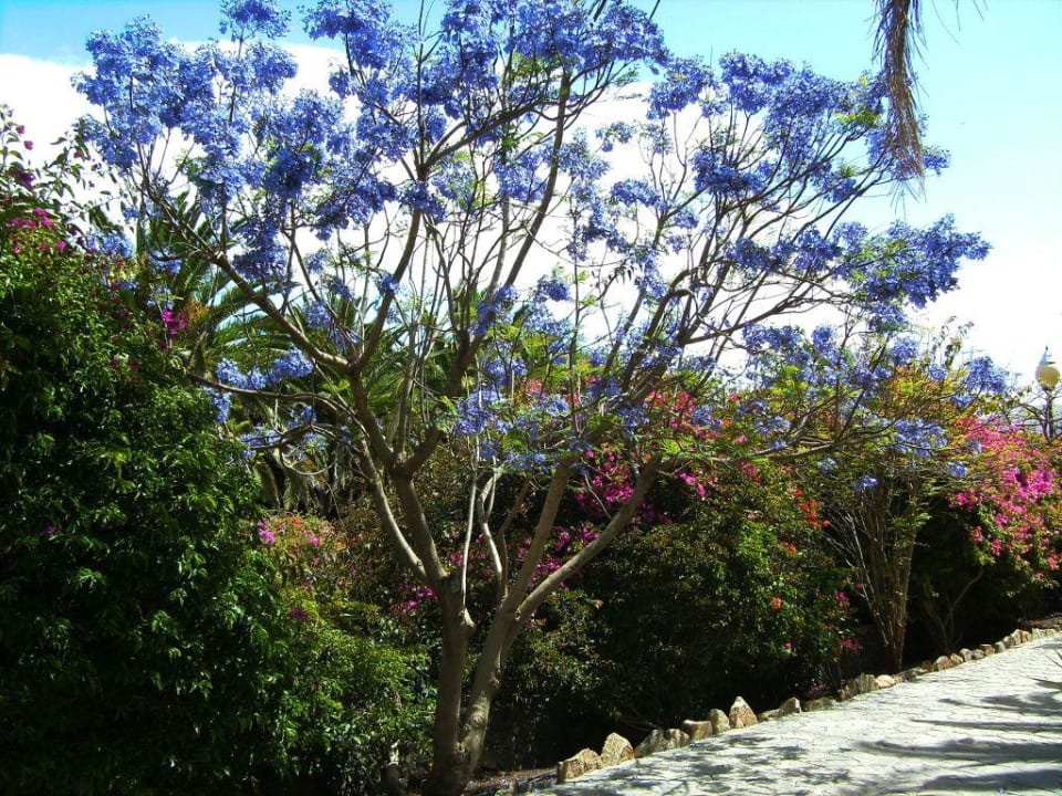 Hotelaufnahmen SBH Club Paraiso Playa