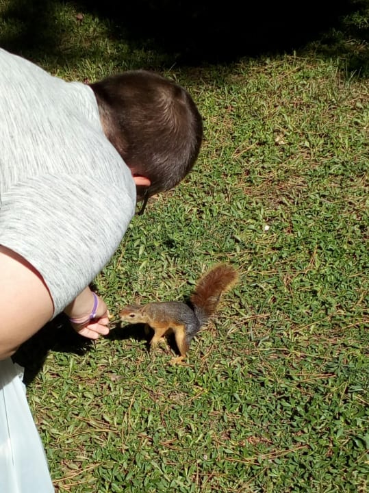 Sonstiges Kustur Club Holiday Village