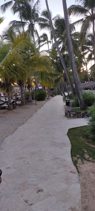 Gartenanlage Hotel Viva Dominicus Beach by Wyndham - All Inclusive Resort