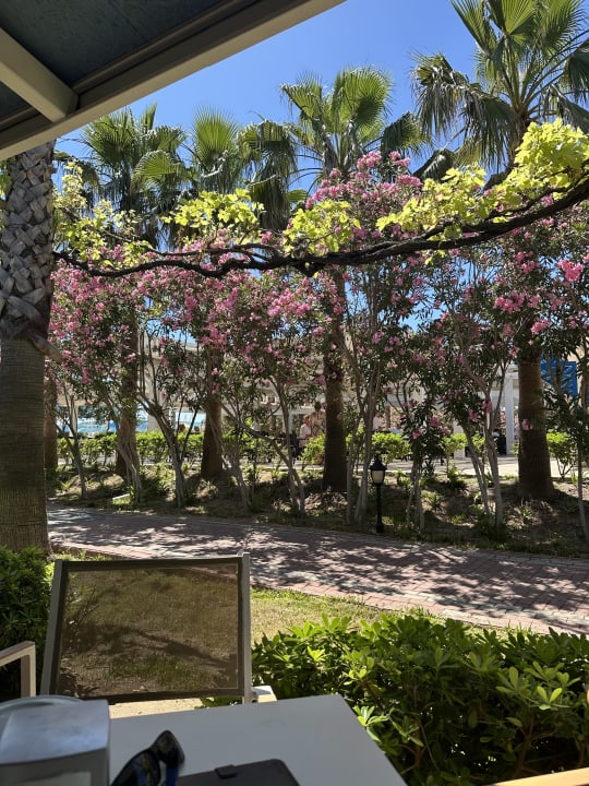 Gartenanlage Seaden Sea World Resort & Spa