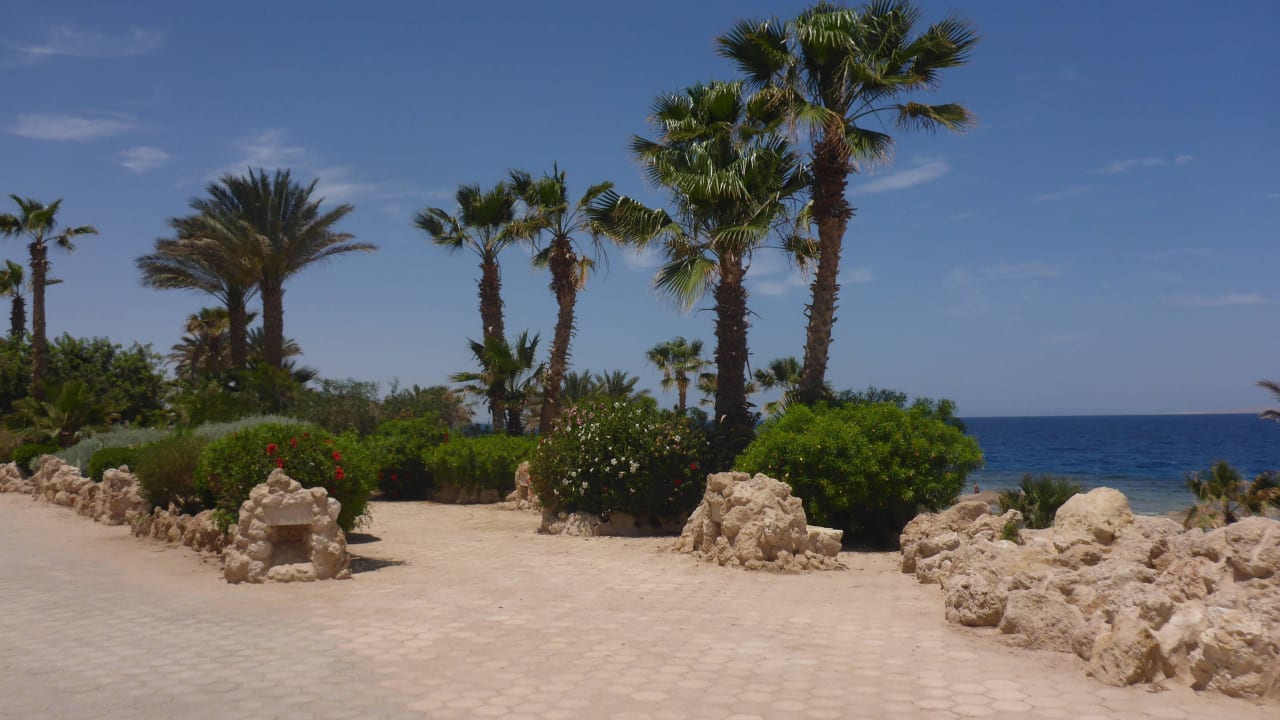 Strand Pickalbatros Citadel Resort