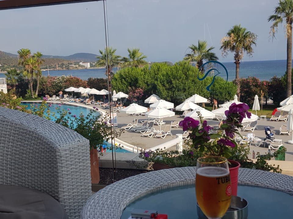 Ausblick Paloma Pasha