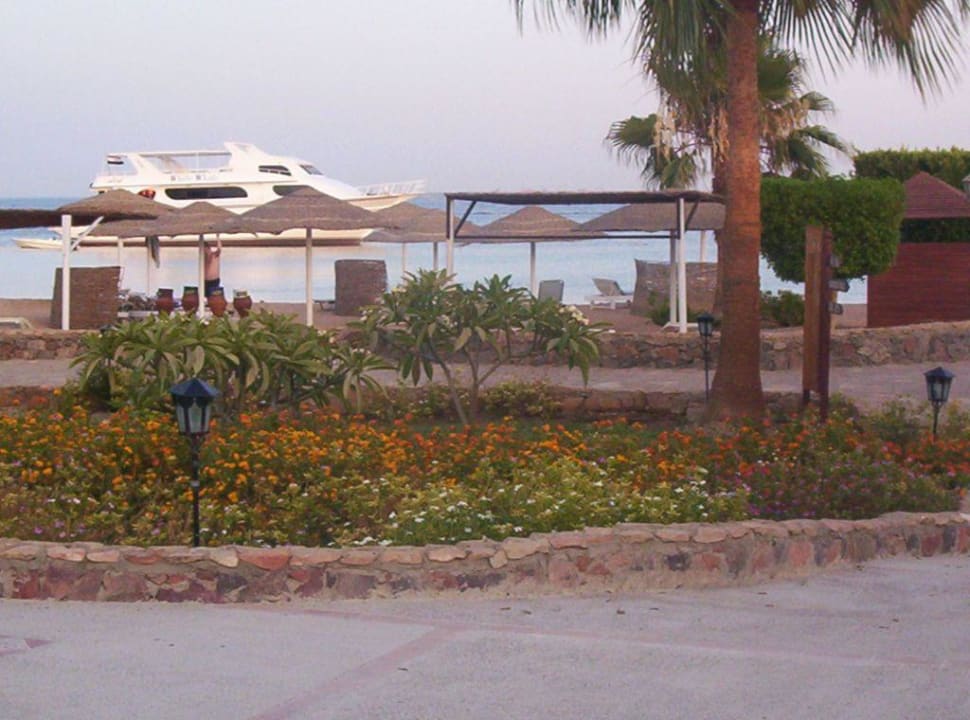 Abendstimmung Eagles Paradise Abu Soma